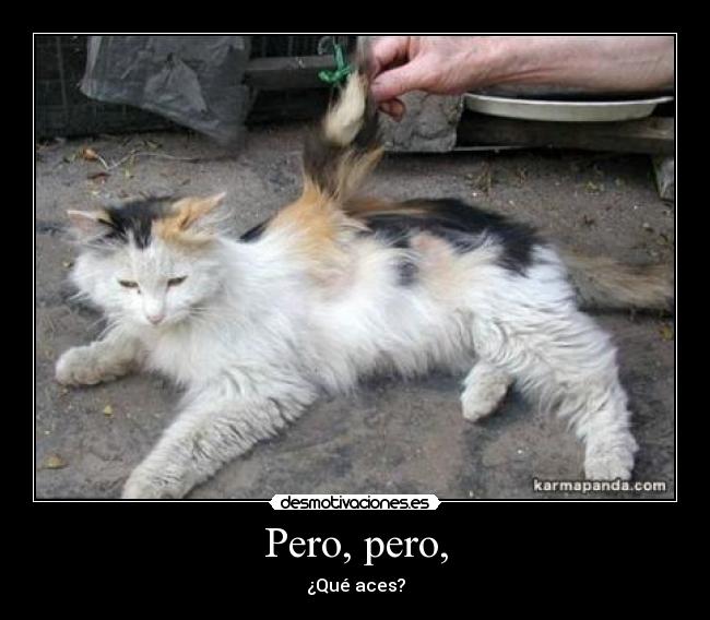 Pero, pero, - ¿Qué aces?