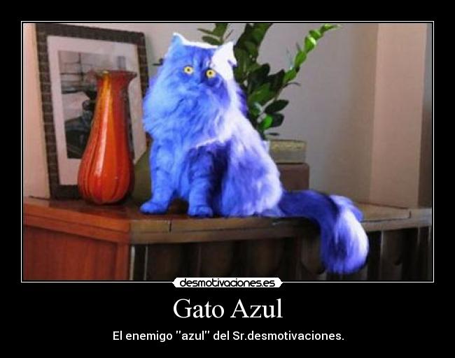 carteles gato azul desmotivaciones