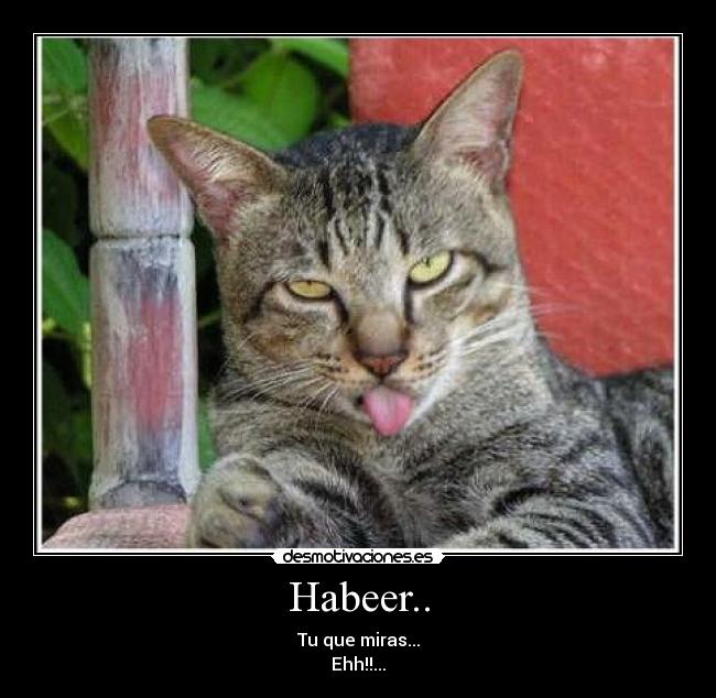 Habeer.. - Tu que miras...
Ehh!!...