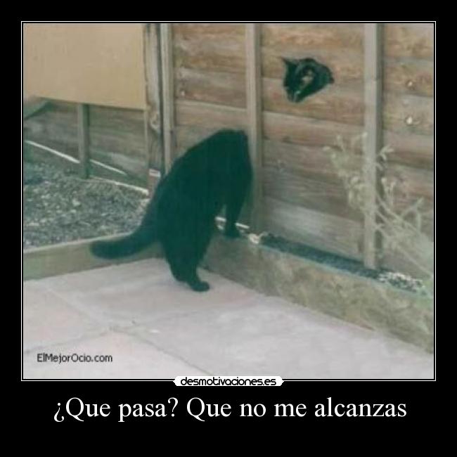 ¿Que pasa? Que no me alcanzas -