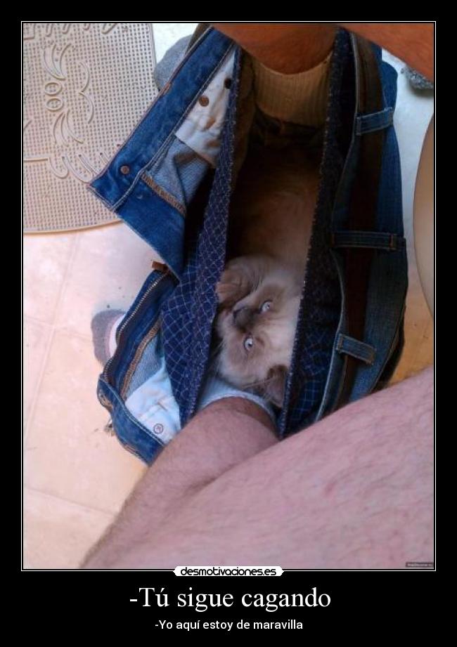 -Tú sigue cagando - -Yo aquí estoy de maravilla