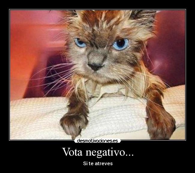 Vota negativo... - 