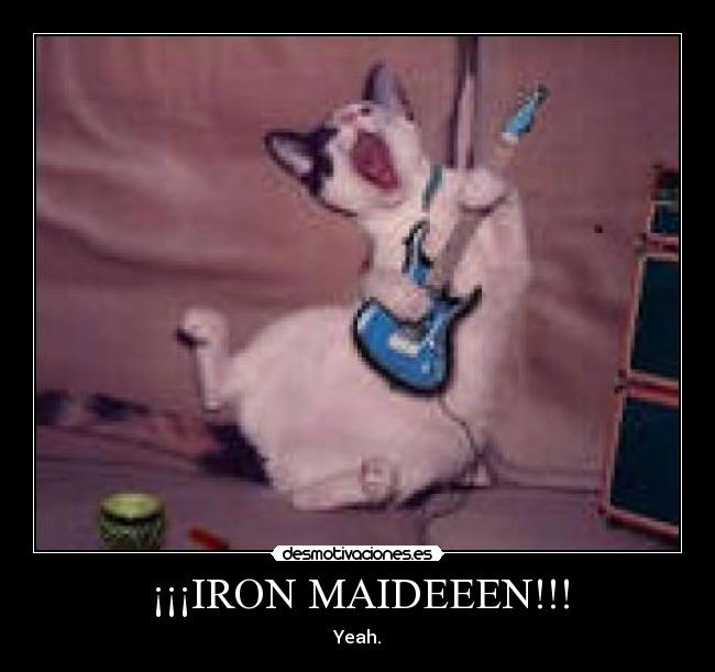 ¡¡¡IRON MAIDEEEN!!! - Yeah.