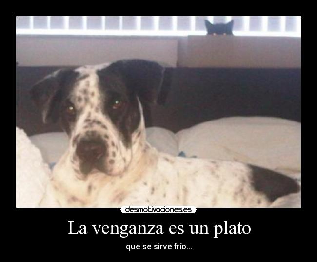 La venganza es un plato - que se sirve frío...
