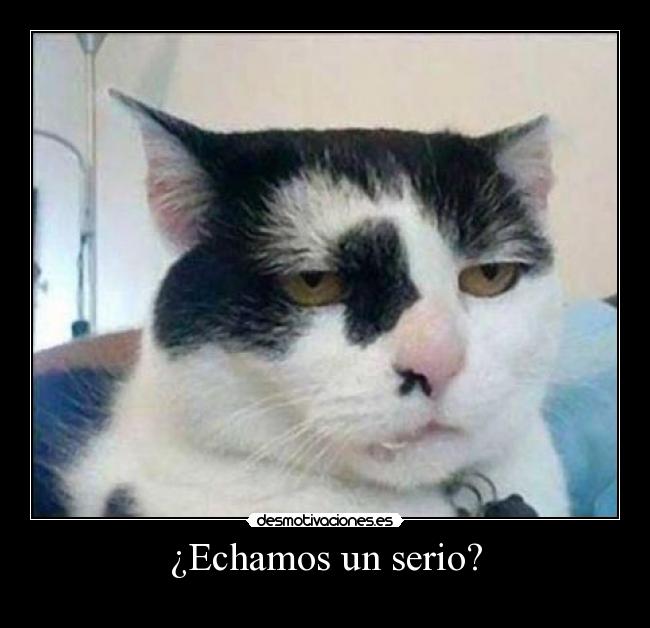 ¿Echamos un serio? -