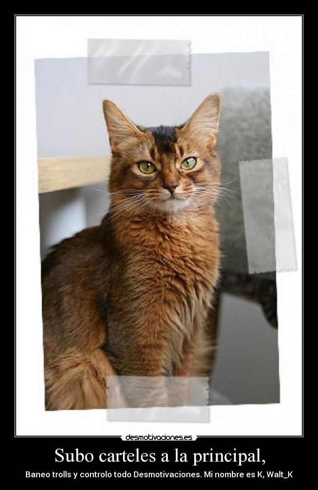 Subo carteles a la principal, - 