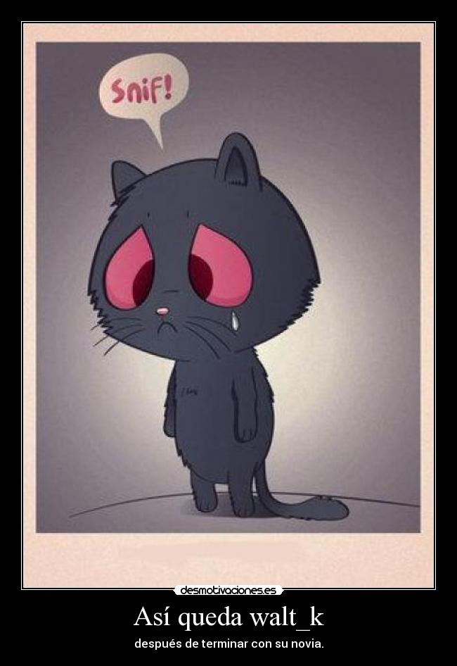 Así queda walt_k - después de terminar con su novia.