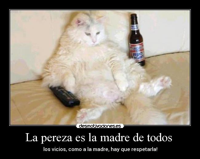 La pereza es la madre de todos - los vicios, como a la madre, hay que respetarla!