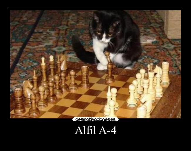 Alfil A-4 -