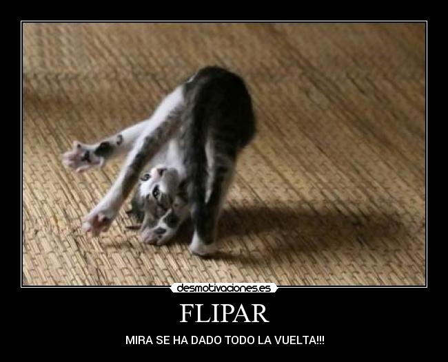 FLIPAR -
