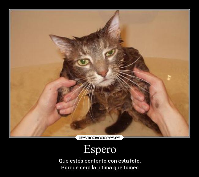 Espero - Que estés contento con esta foto.
Porque sera la ultima que tomes