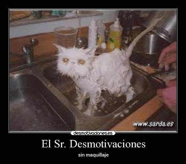 El Sr. Desmotivaciones - sin maquillaje