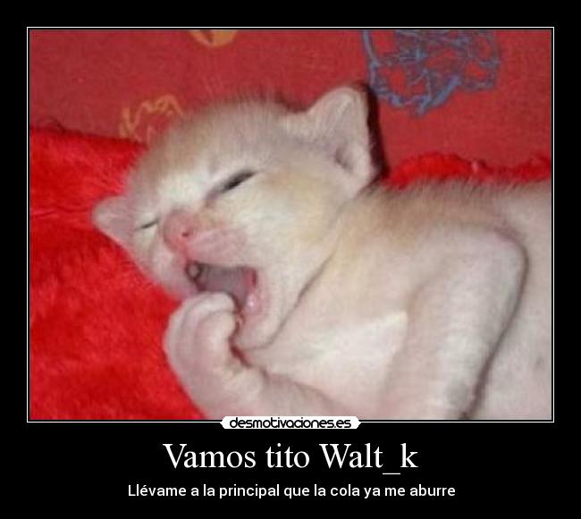 Vamos tito Walt_k - 