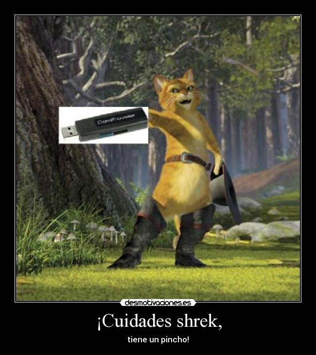 ¡Cuidades shrek, - 