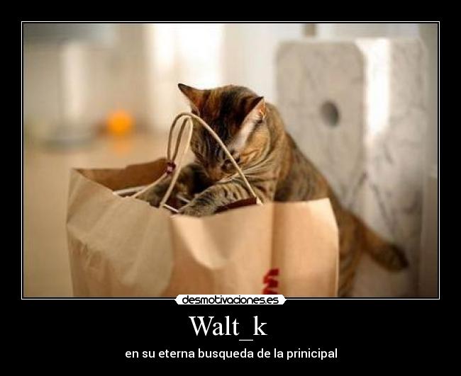 Walt_k - en su eterna busqueda de la prinicipal