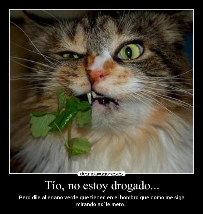 Tío, no estoy drogado... -