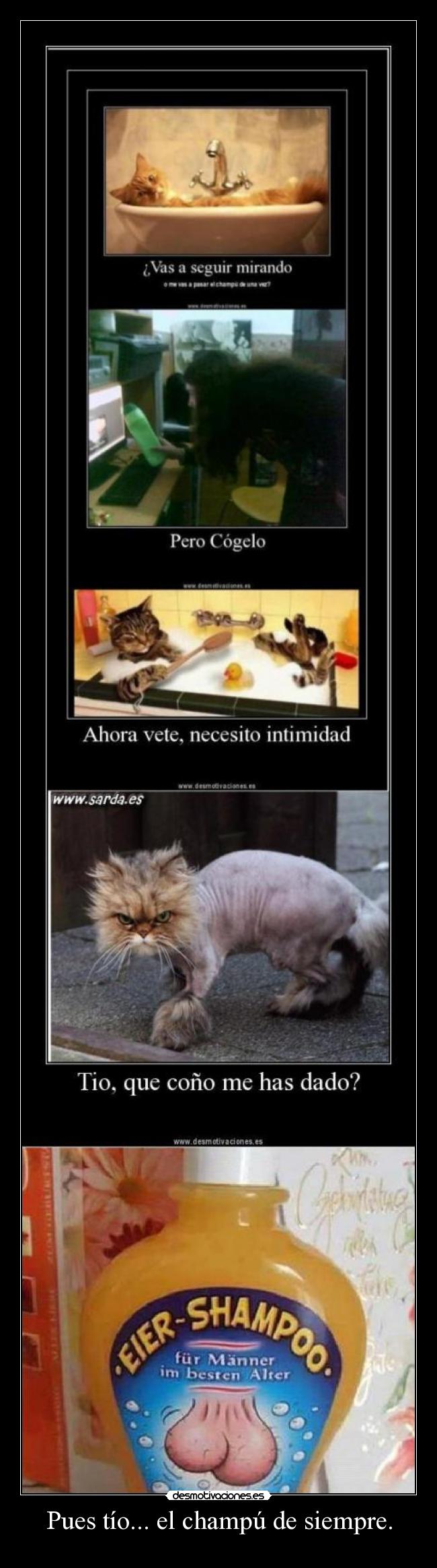 Pues tío... el champú de siempre. -