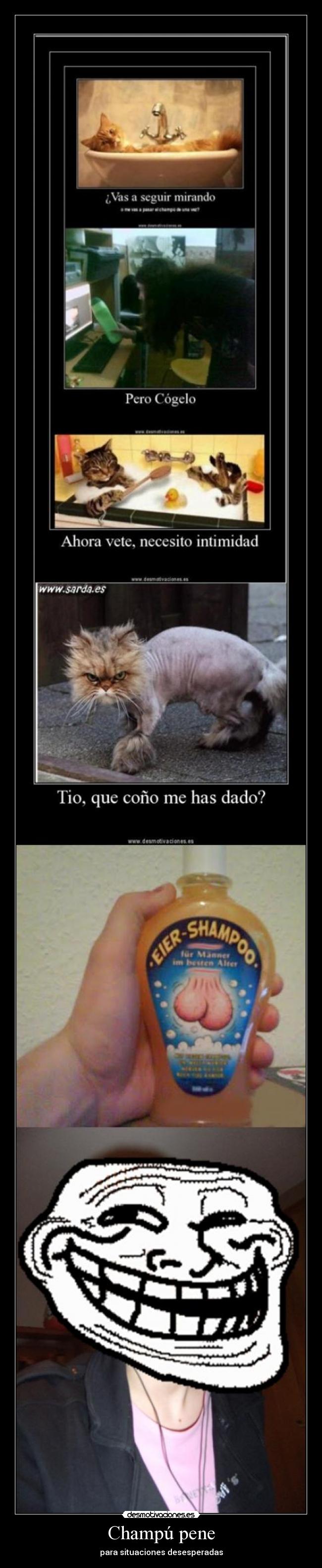 Champú pene - para situaciones desesperadas