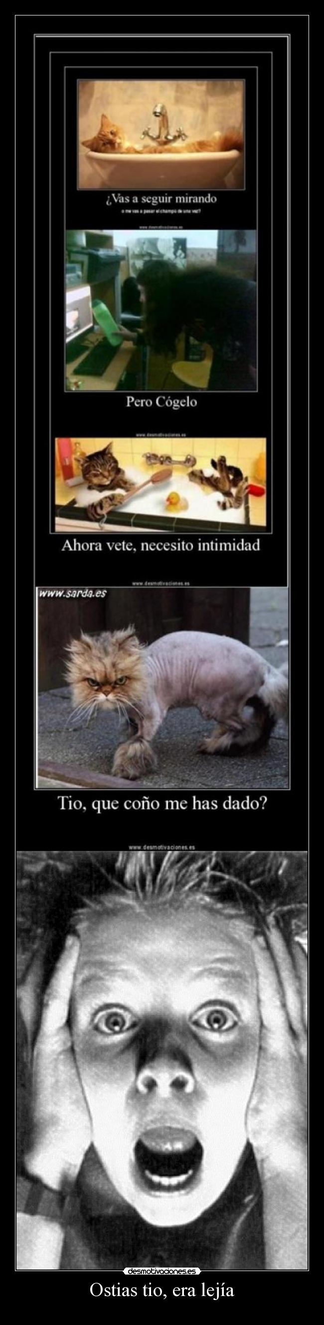 Ostias tio, era lejía -