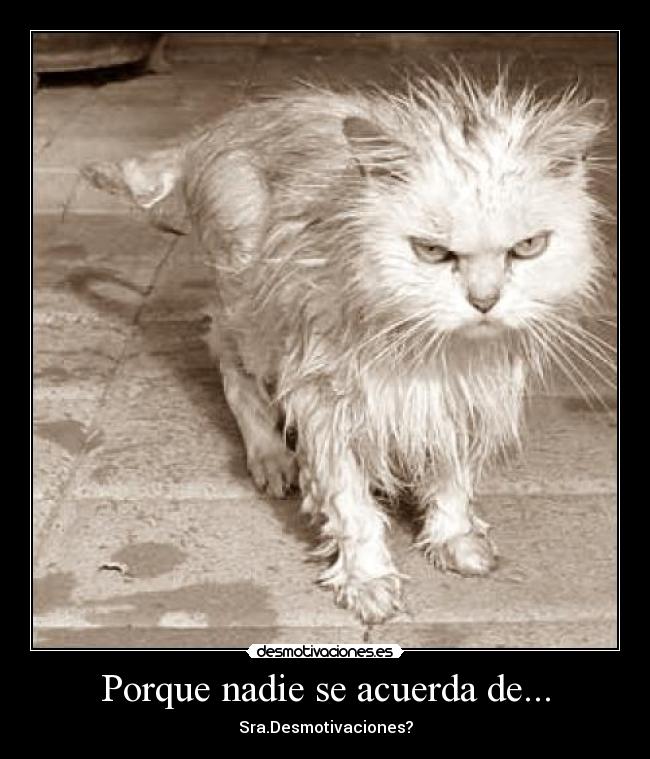 Porque nadie se acuerda de... -