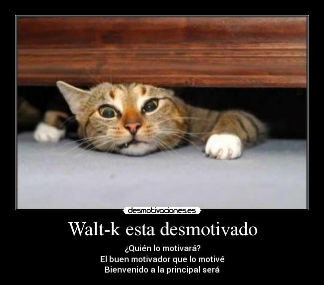 Walt-k esta desmotivado - 