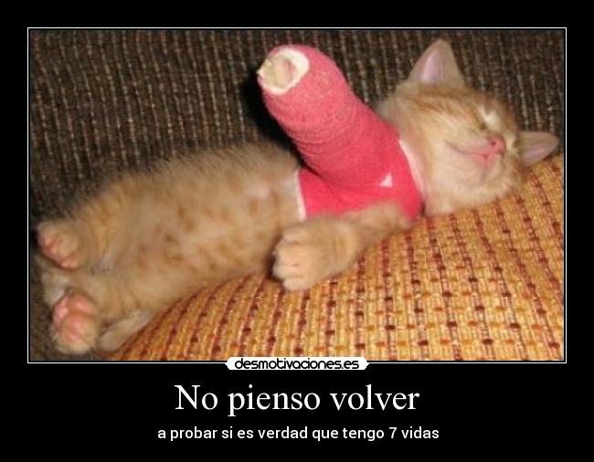 No pienso volver -