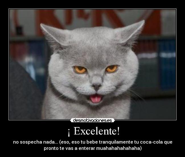 ¡ Excelente! - 