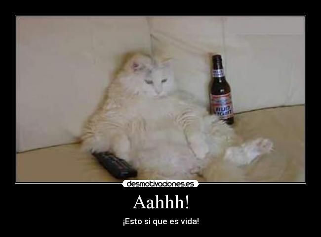 carteles ahhh desmotivaciones