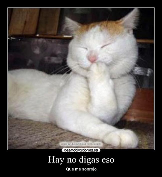 carteles ghgfhgf desmotivaciones