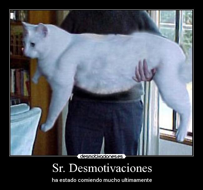 Sr. Desmotivaciones -