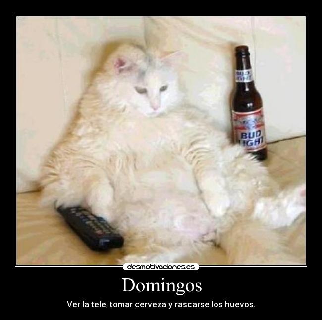 Domingos - 