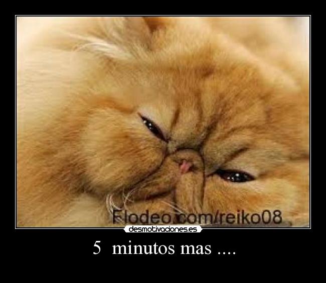 5  minutos mas .... - 