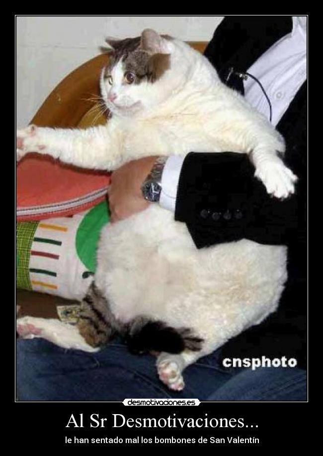 Al Sr Desmotivaciones... - le han sentado mal los bombones de San Valentín