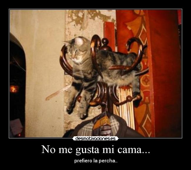 No me gusta mi cama... - 