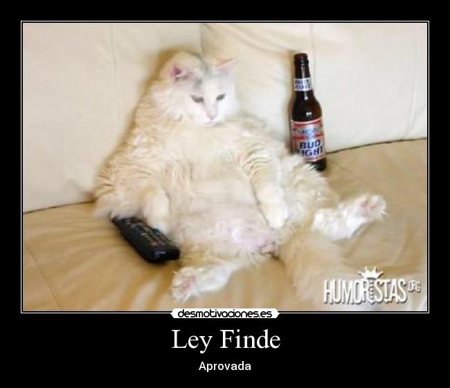 Ley Finde - Aprovada