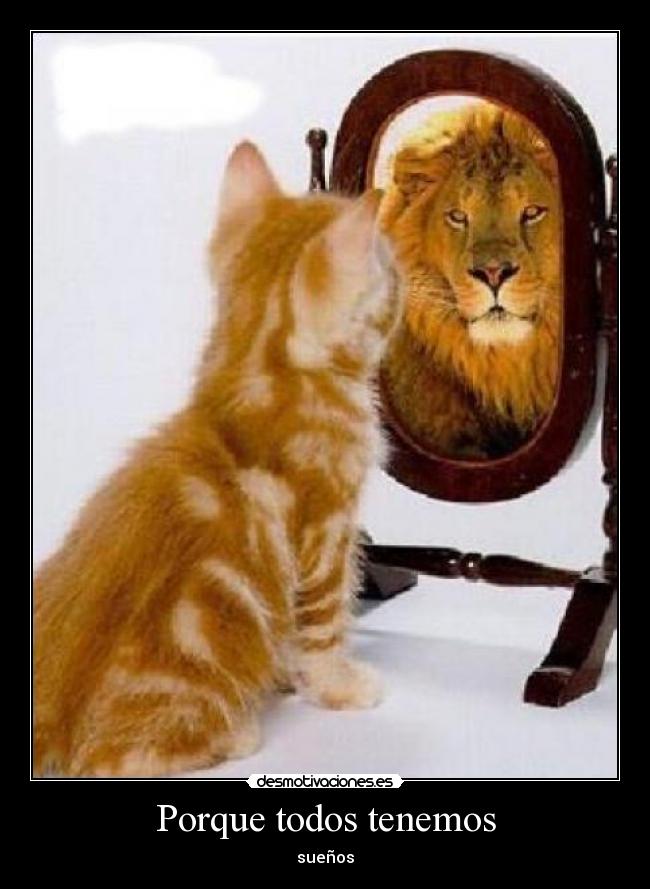 Porque todos tenemos - sueños