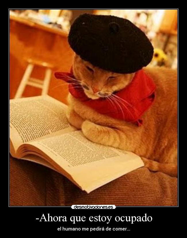 -Ahora que estoy ocupado - el humano me pedirá de comer...