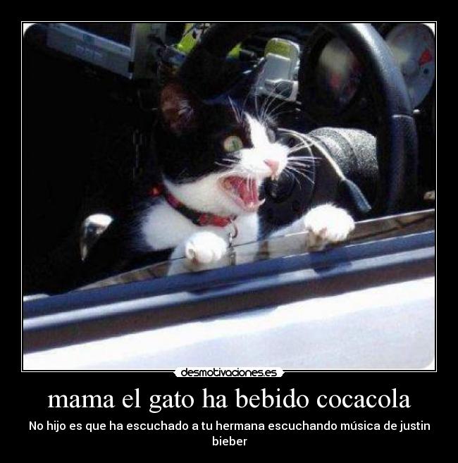 mama el gato ha bebido cocacola - 