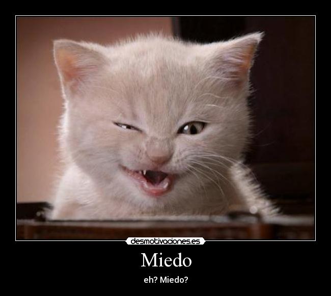 Miedo -