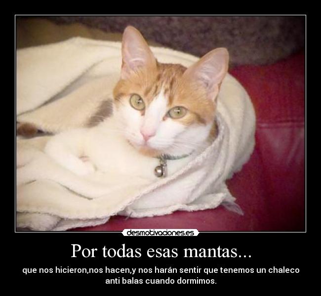 Por todas esas mantas... -