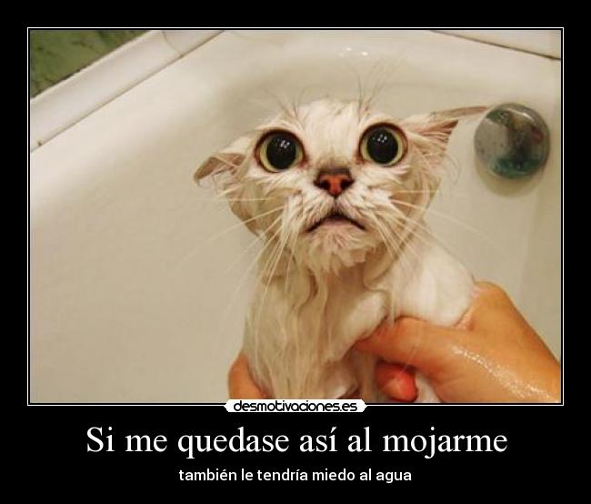 Si me quedase así al mojarme - también le tendría miedo al agua