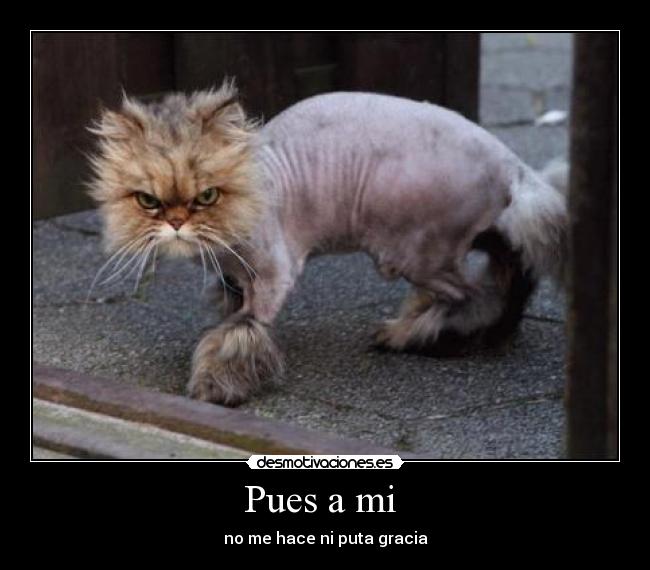 Pues a mi - no me hace ni puta gracia