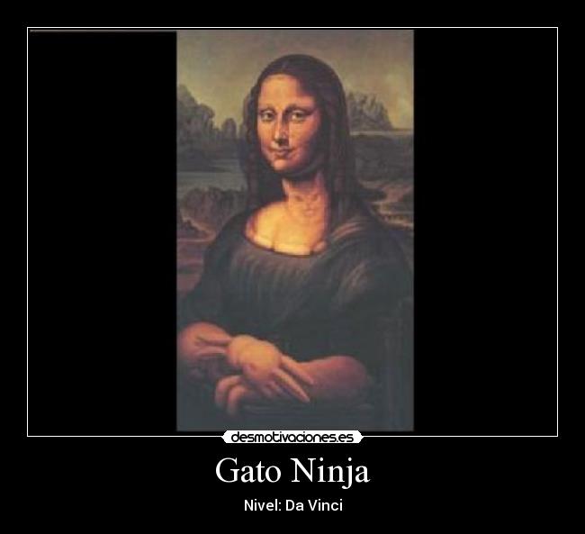 Gato Ninja -