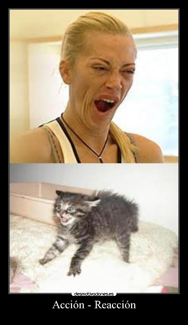 Acción - Reacción - 