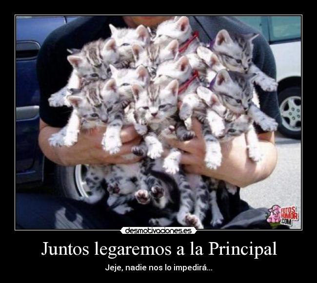 Juntos legaremos a la Principal - Jeje, nadie nos lo impedirá...