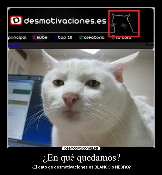 ¿En qué quedamos? -