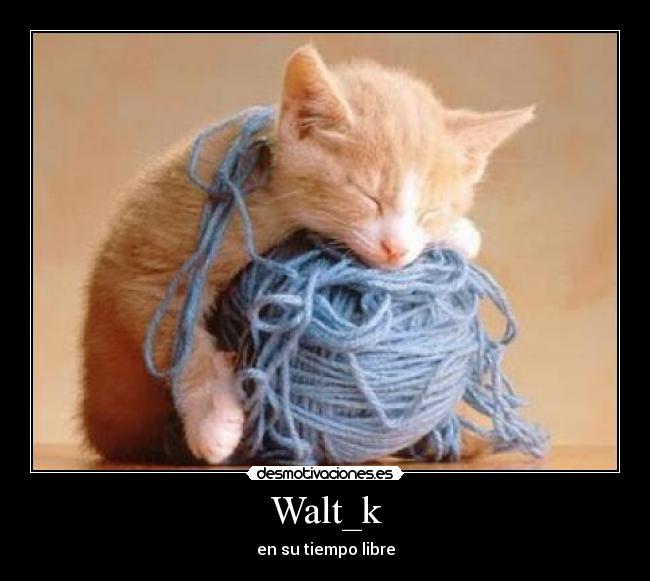 Walt_k -