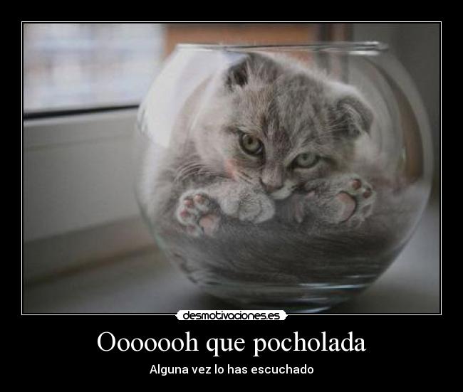 Ooooooh que pocholada - Alguna vez lo has escuchado