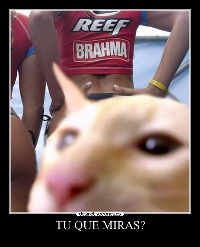 TU QUE MIRAS? -