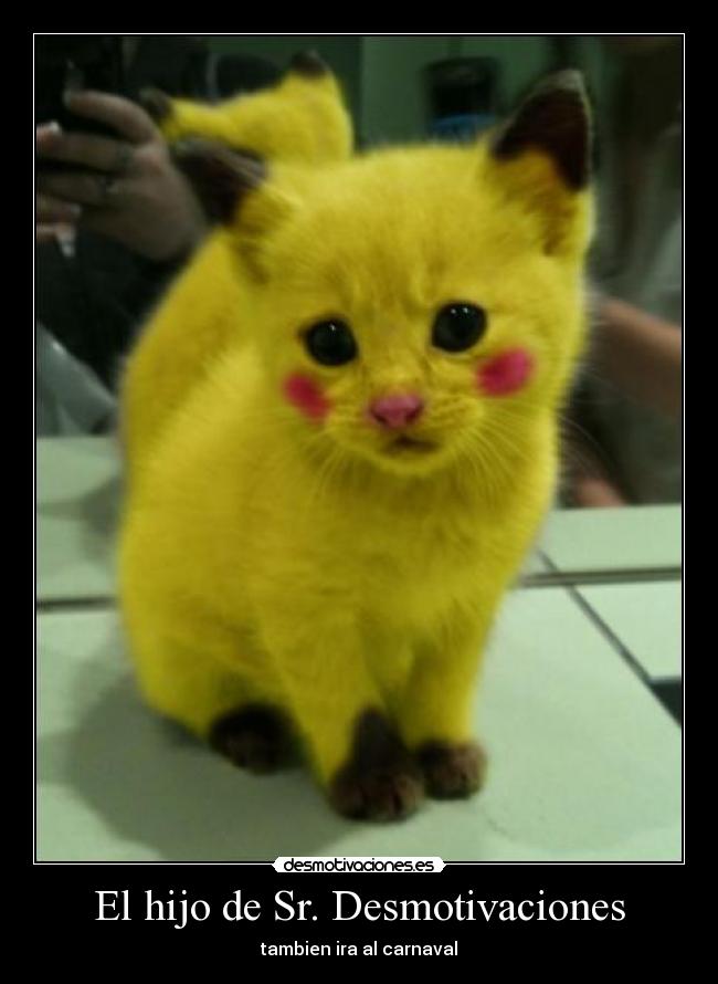 El hijo de Sr. Desmotivaciones - tambien ira al carnaval